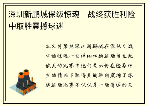 深圳新鹏城保级惊魂一战终获胜利险中取胜震撼球迷